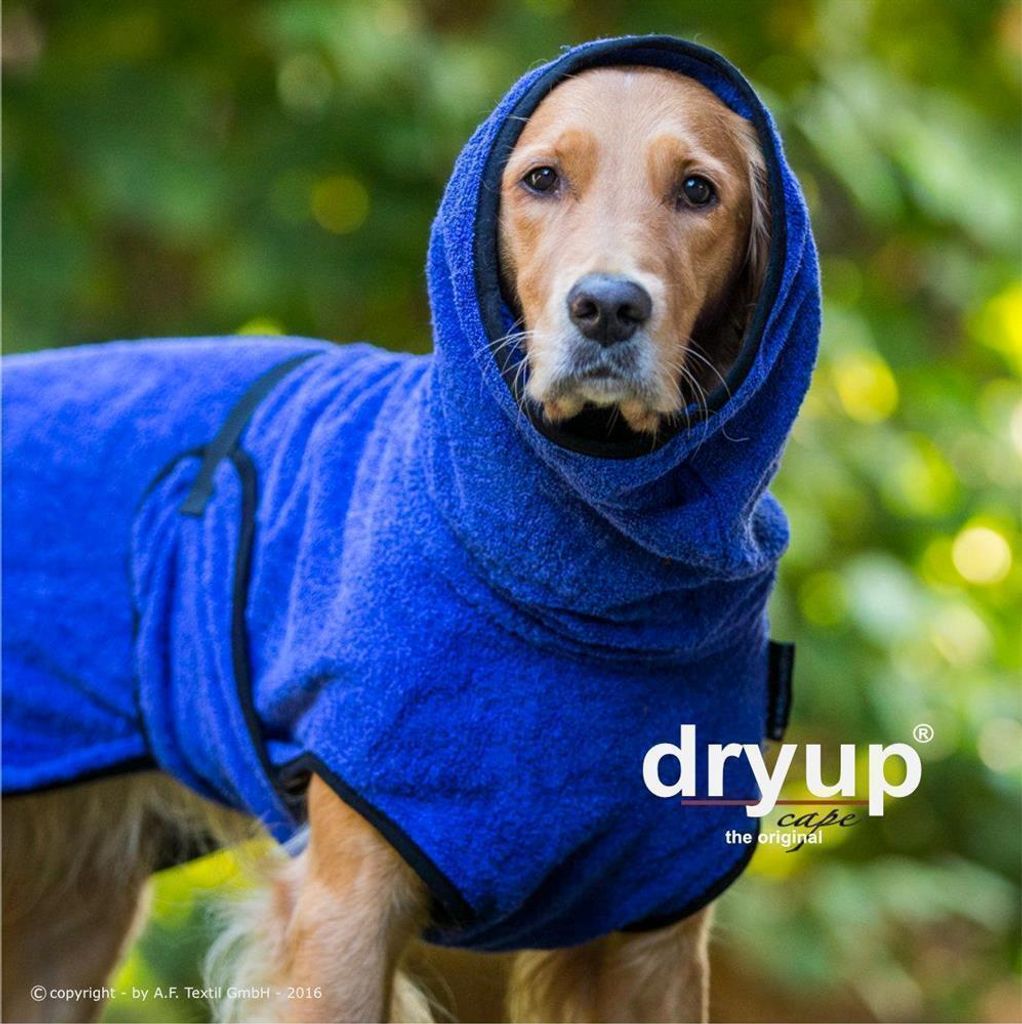 Dryup Cape blueberry XXL (74cm)