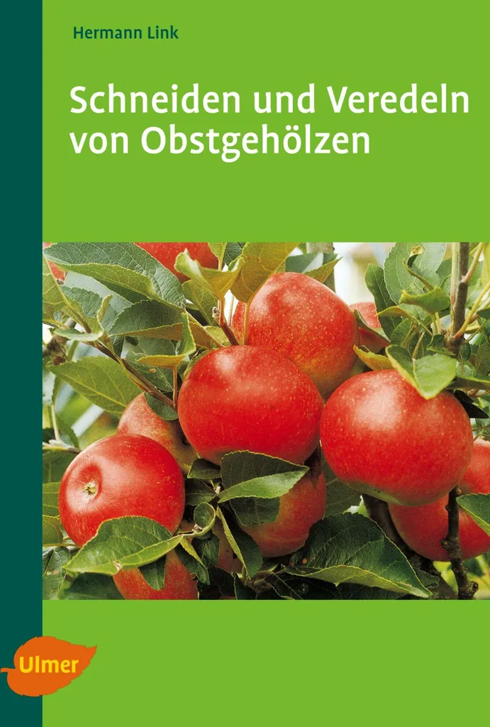 Améliorer sa Récolte : Guide de Taille et Greffage d'Arbres Fruitiers