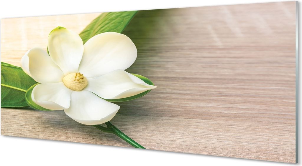 Glasbilder 125x50 Wandkunst weiße Magnolie