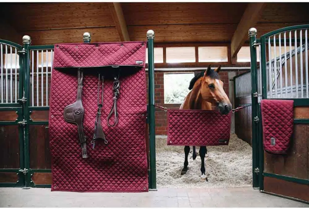 Rideau d'Écurie Kentucky pour Box - Protection Bordeaux pour Concours - 5