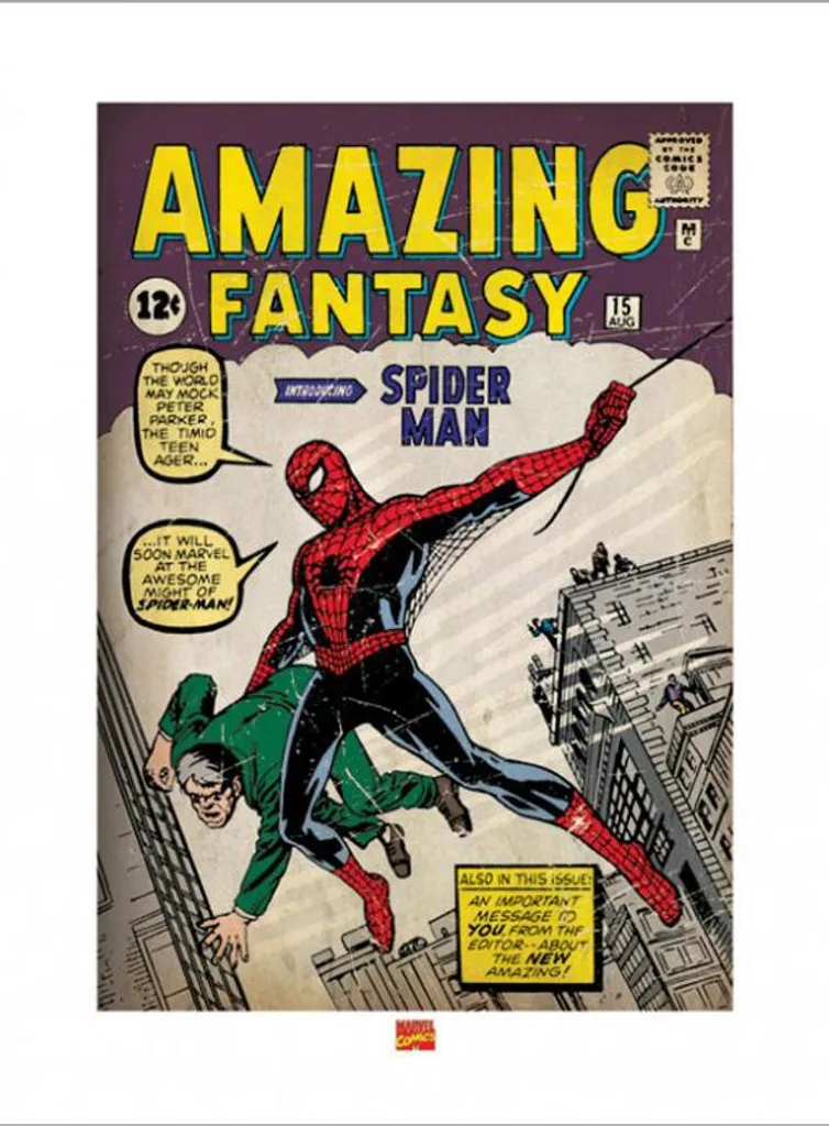 Spider-Man Impression d'Art 1ère Édition avec 20 Tesa Powerstrips Inclus