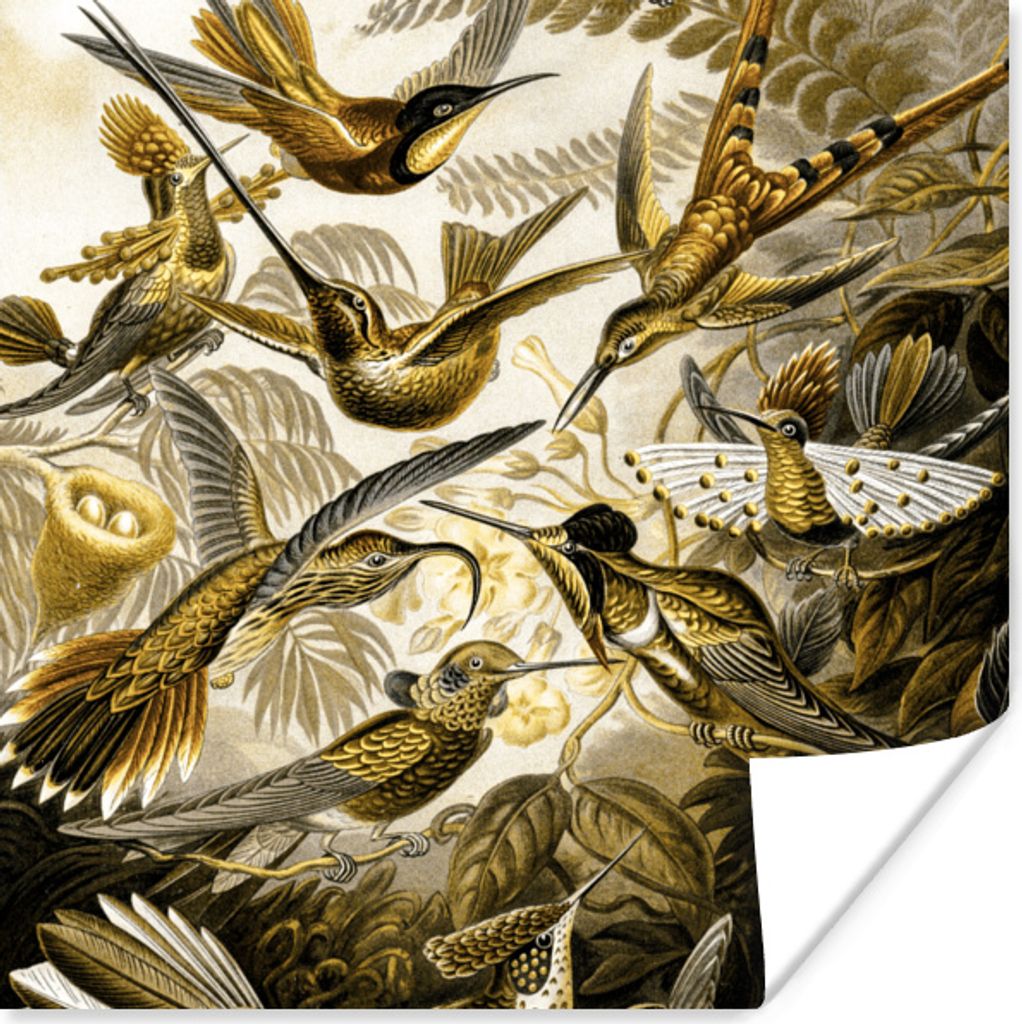 MuchoWow Poster Trochilidae - Ernst Haeckel - Gold 50x50 cm - Wohnzimmerdekoration
