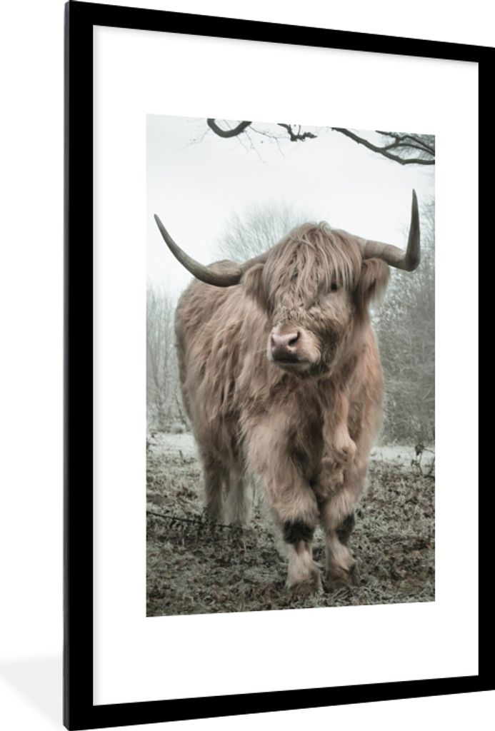 MuchoWow Gerahmtes Poster Schottische Highlander - Natur - Herbst - Tiere - Wildtiere - Wald 60x90 cm - Poster mit Schwarzem Bilderrahmen Wandpos...