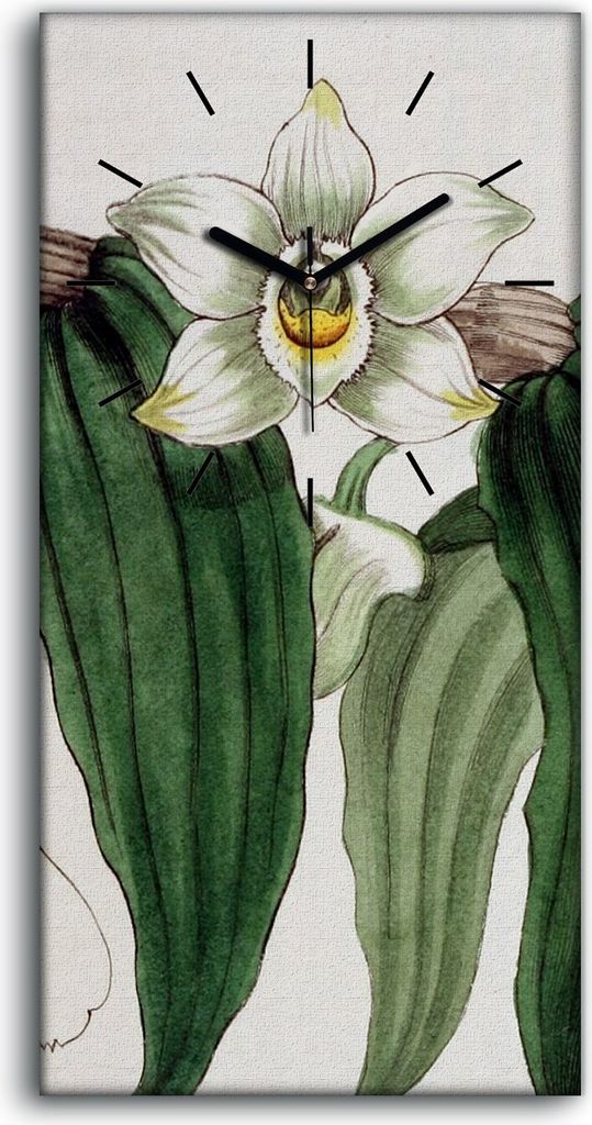 Leinwand Uhr Küche Wohnzimmer Bild 30x60 Zeichnung Blüten Zweig Orchidee - schwarze Hände