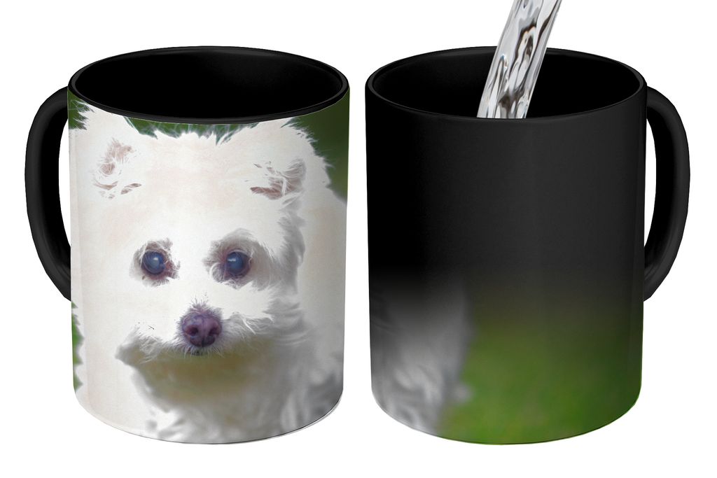 KitchenYeah Zauber Tasse Zaubertasse Magic Malteser Hund auf einer Wiese 350 ml Farbwechsel Becher Geschenk Geschenkidee - Magic-Tasse - Fototass...