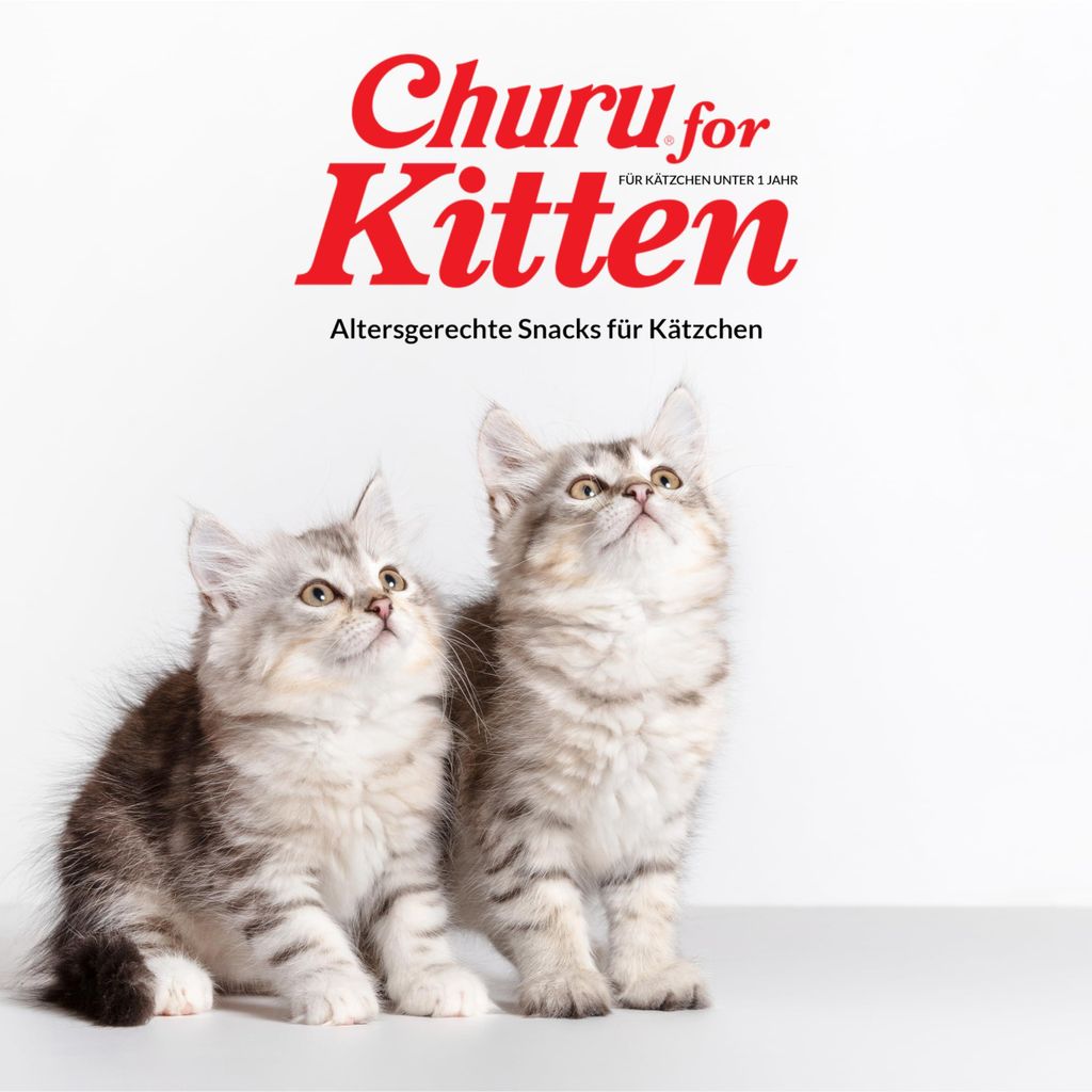 INABA Kitten Chicken and tuna - Katze behandeln - 20x14g Produktbild 