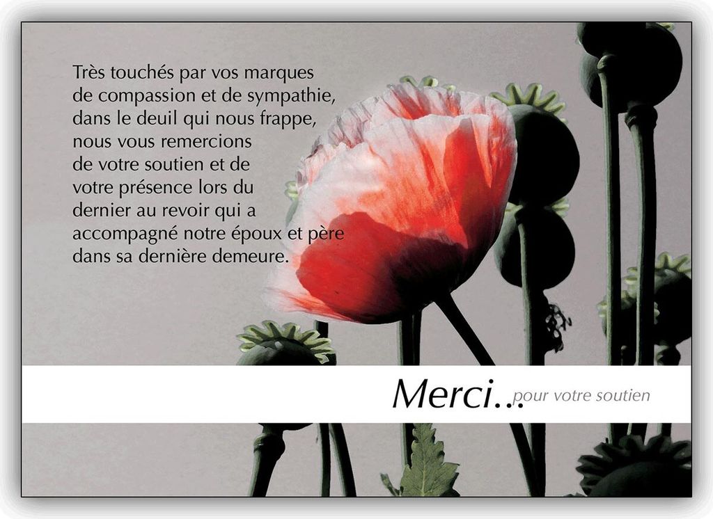 Würdevolle Trauer Dankeskarte, französisch: Merci pour votre soutien –