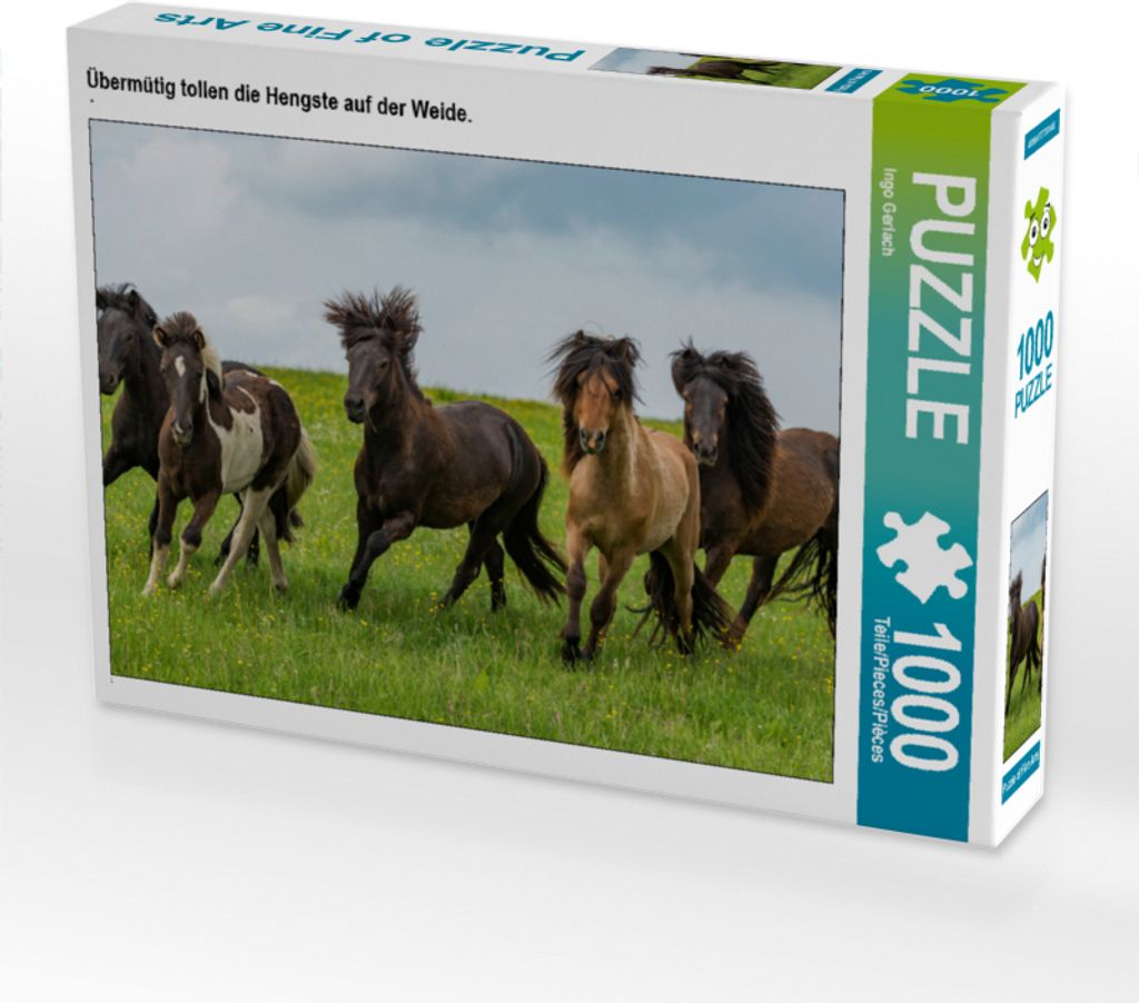 CALVENDO Puzzle Übermütig tollen die Hengste auf der Weide. | 1000 Teile Lege-Größe 64x48cm Foto-Puzzle für glückliche Stunden