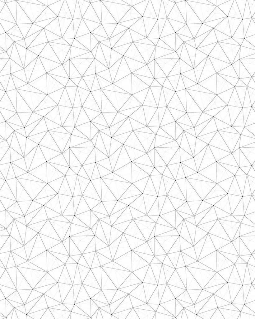 Sanders & Sanders Fototapete Kirschblüten Schwarz-Weiß 200 x 250 cm