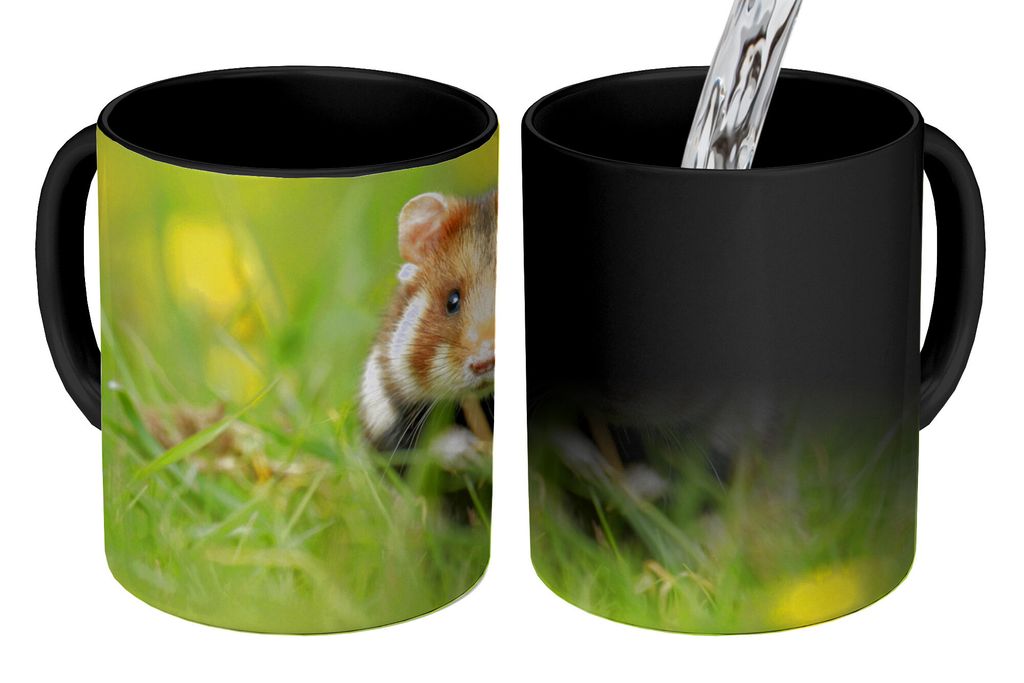 KitchenYeah Zauber Tasse Zaubertasse Magic Europäischer Hamster im Gras 350 ml Farbwechsel Becher Geschenk Geschenkidee - Magic-Tasse - Fototass...