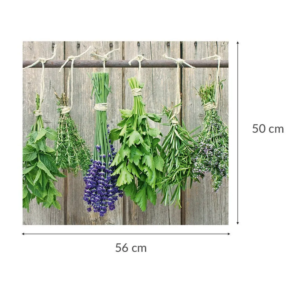 Zeller Panneau de cuisinière en verre décor Herbes, Protection Plan de Travail