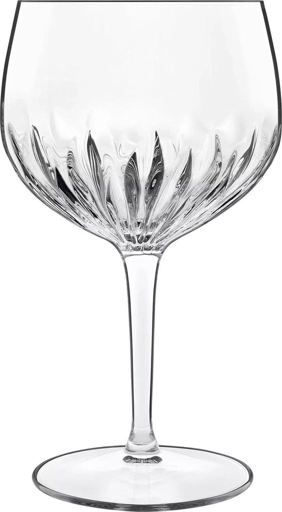 Set Verres Gin Tonic Mixology Verres à Cocktail élégants Image du produit 