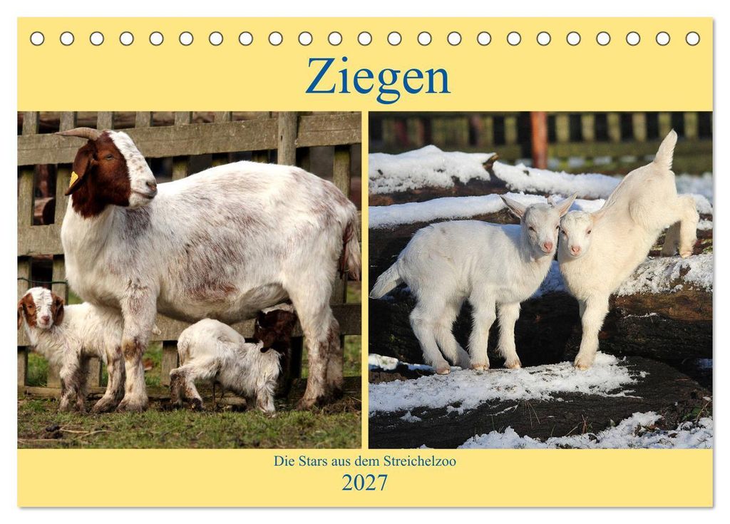 Ziegen - Die Stars aus dem Streichelzoo (Tischkalender 2027 DIN A5 quer), CALVENDO Monatskalender