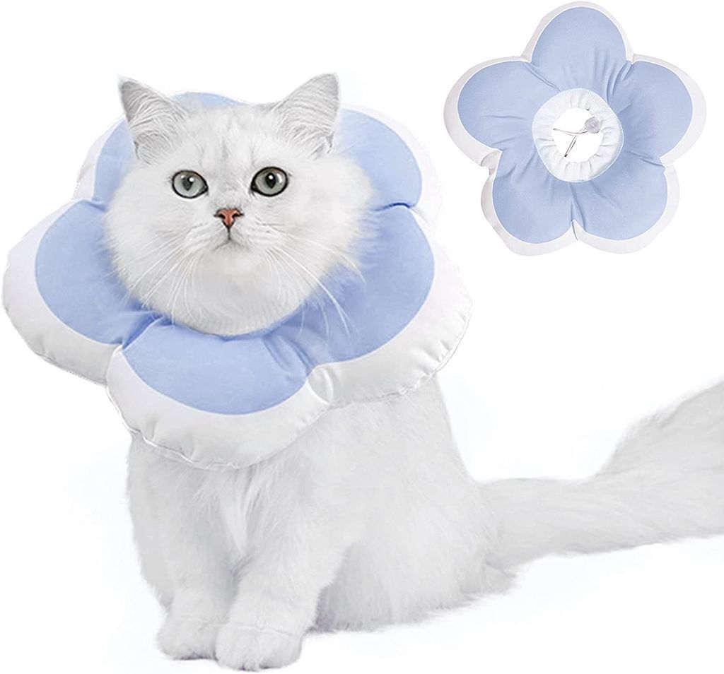 A white cat wearing a light blue and white flower-shaped Elizabethan collar, with a separate collar shown to the right.