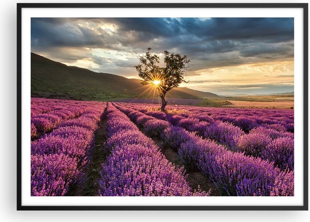 Gerahmtes Poster - Schwarzer Rahmen - Lavendel Berge Feld - 100x70 cm - Wand Bild - Wanddeko - Wandbilder - Kunstposter - Wandposter - Bilderrahmen...
