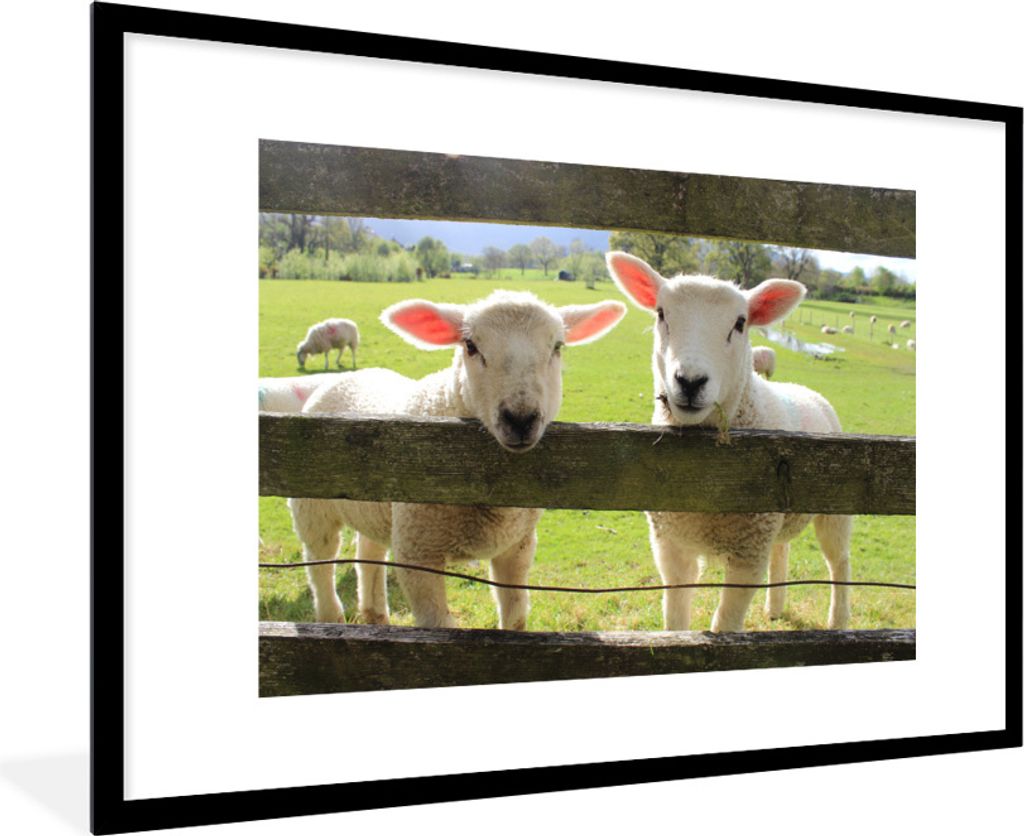 MuchoWow Gerahmtes Poster Schaf - Holz - Lamm 90x60 cm - Poster mit Schwarzem Bilderrahmen Wandposter Rahmen Foto Bilder - Wanddekoration - Fotos