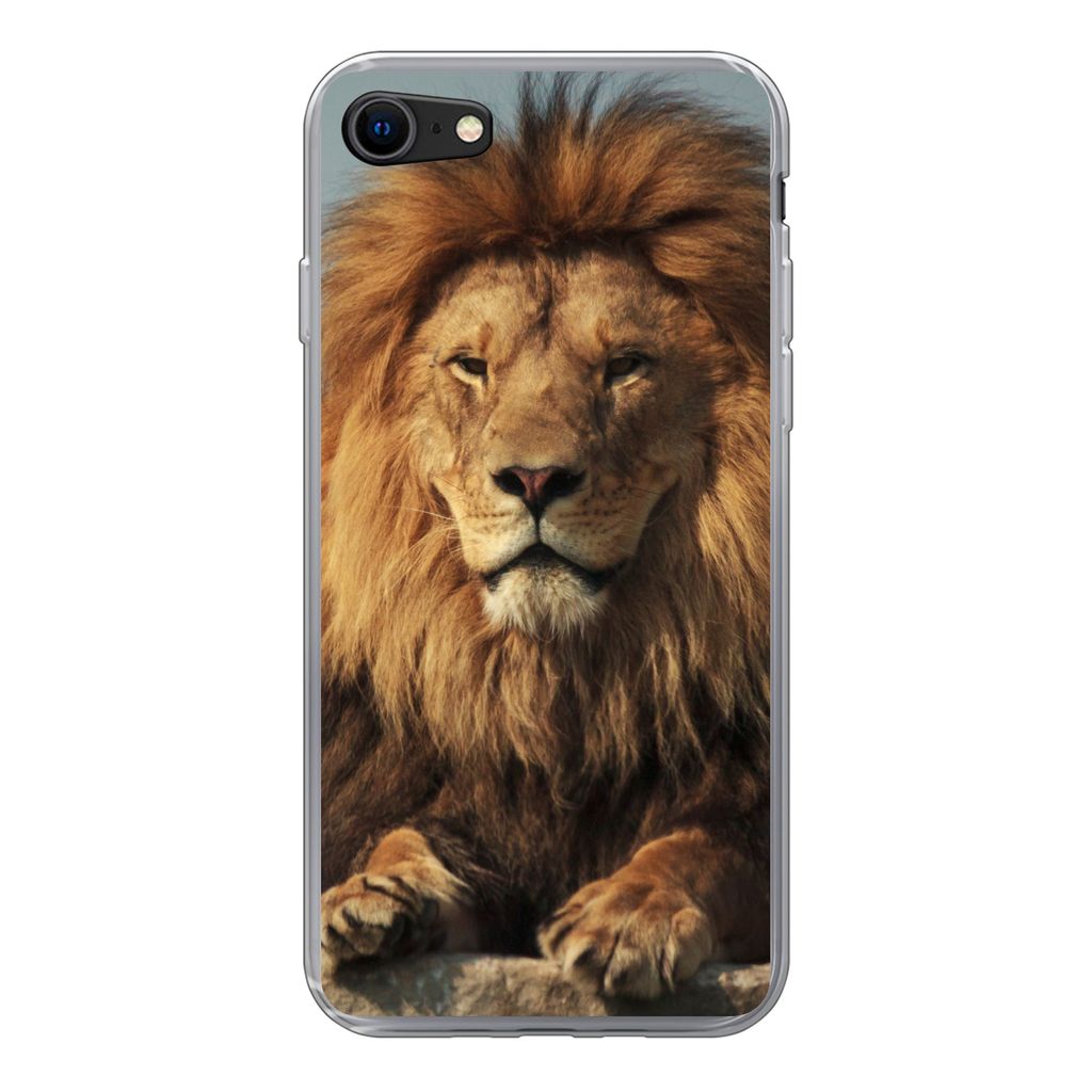MuchoWow Handyhülle Schutzhülle Hülle für iPhone SE 2020 Löwe - Felsen - Porträt Silikon Softcase Handy Hülle - Kartenbesitzer