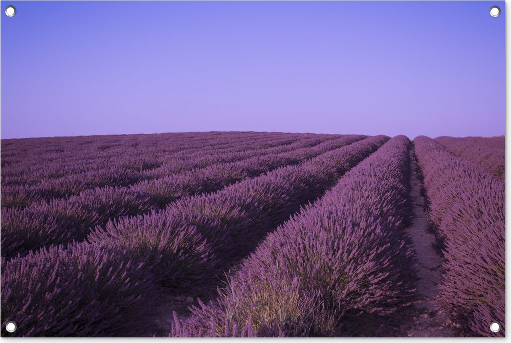 MuchoWow 90x60 cm Outdoor-Poster Gartendeko Sichtschutz Garten Poster für den Garten Ein blühendes Lavendelfeld in der Region Valensole, Südf...