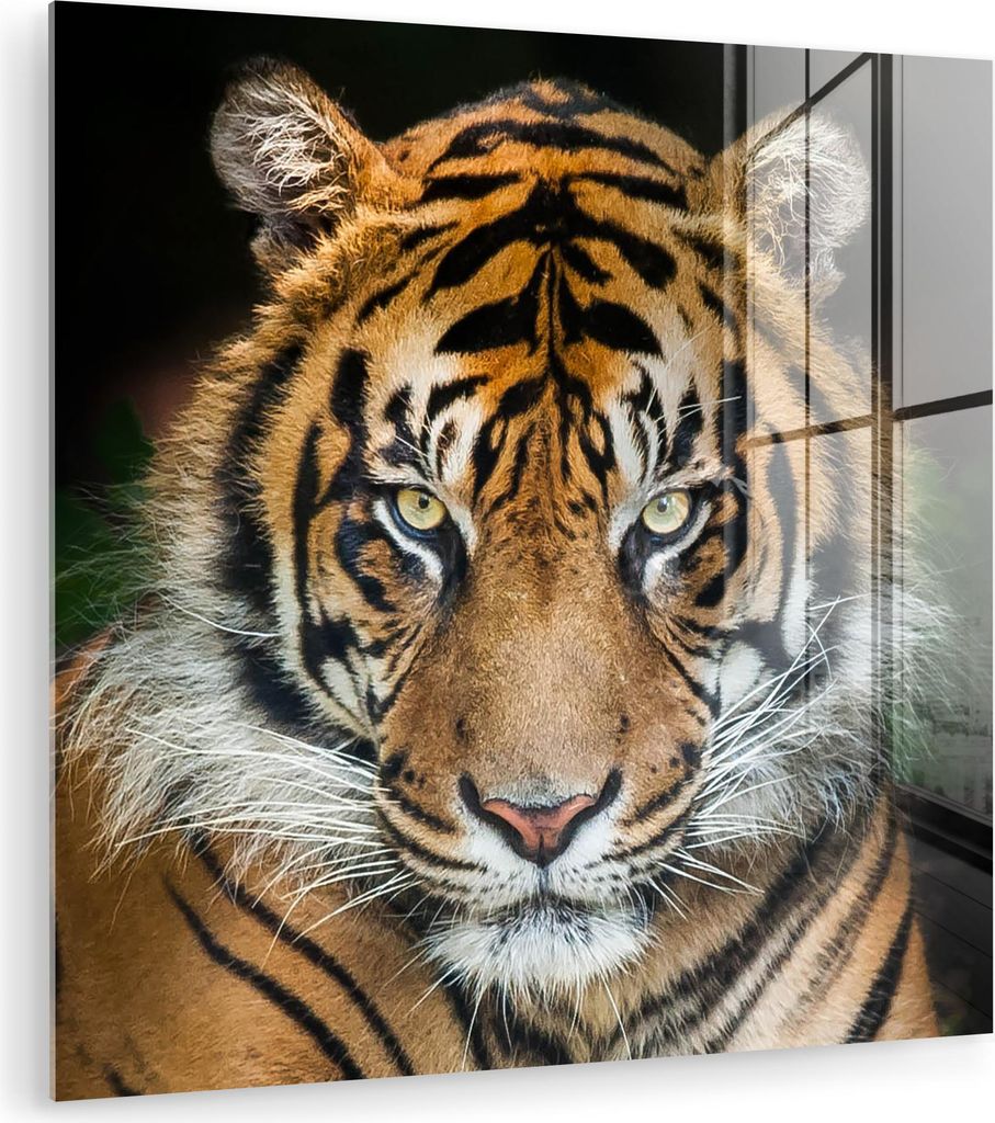 MuchoWow Glasbilder - Bilder auf Wandbild - Foto auf Glas Tiger - Schwarz 90x90 cm Wanddekoration aus Glas - Acrylglasbild - Acrylbilder - Wandschm...