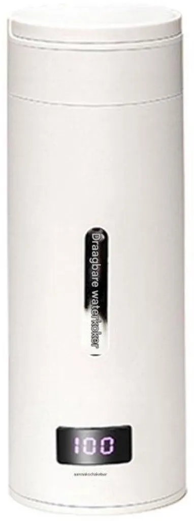 Petite bouilloire de voyage portable en inox - Chauffe-eau 220V compact