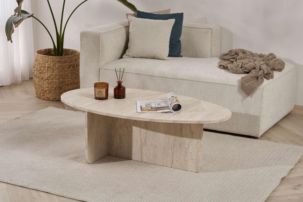 A modern living room scene with a couch, coffee table, rug, and plant.