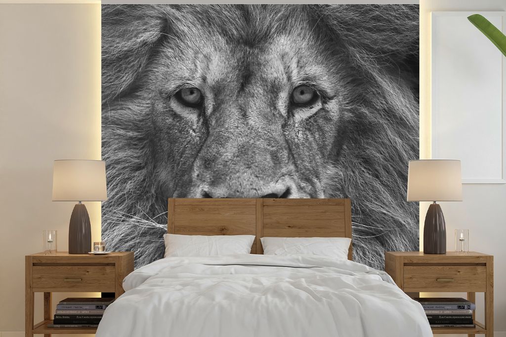 MuchoWow Fototapete für Wohnzimmer oder Schlafzimmer Wandtapete Vinyl Motivtapete Persischer Löwe auf schwarzem Hintergrund - 300x300 cm - Wand...