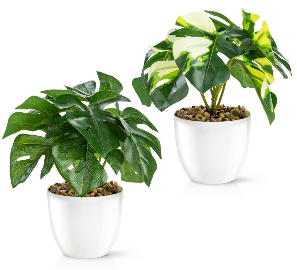 Set mit 2 realistischen künstlichen Pflanzen (18 cm) in hochglänzenden Keramiktöpfen | Künstliche Pflanzen im Topf | Künstliche Blumen, Kunstp...