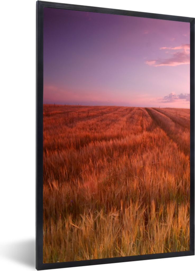 MuchoWow Gerahmtes Poster Wiese - Sonne - Abend - Landschaft 40x60 cm - Poster mit Schwarzem Bilderrahmen Wandposter Rahmen Foto Bilder - Papierd...