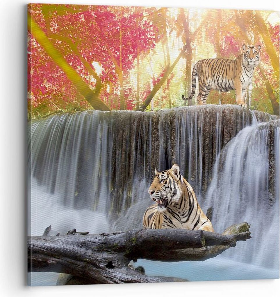 Bild auf Leinwand - Leinwandbild - Tiger natur tier paradies - 70x70cm - Wand Bild - Wanddeko - Leinwanddruck - Bilder - Kunstdruck - Wanddekoratio...