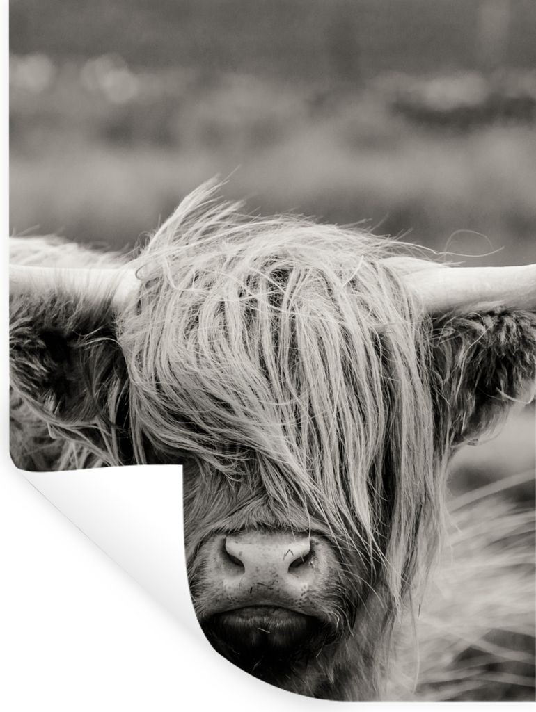 MuchoWow Wandtattoo Wandsticker Wandaufkleber Schottischer Highlander - Kuh - Tiere - Schwarz-Weiß - Ländlich 120x160 cm Selbstklebend und Repo...