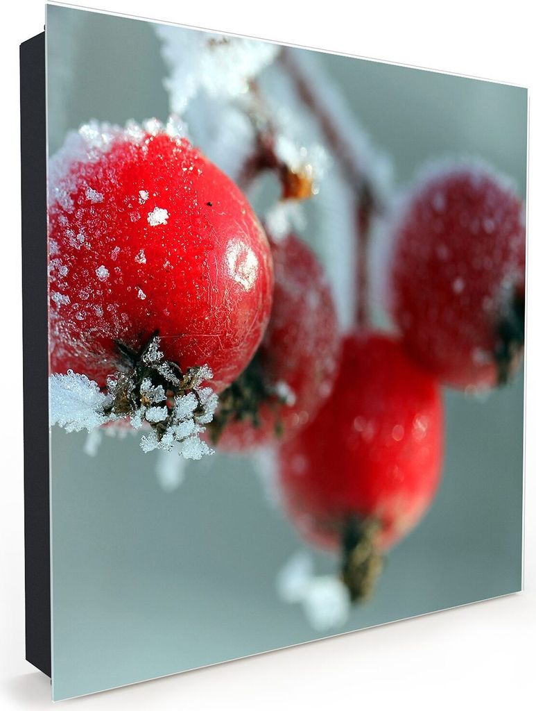 Nachbildung-Schlüsselkasten, Magnetpinnwand und Memoboard mit Glasfront Motiv Vogelbeeren mit Eis
