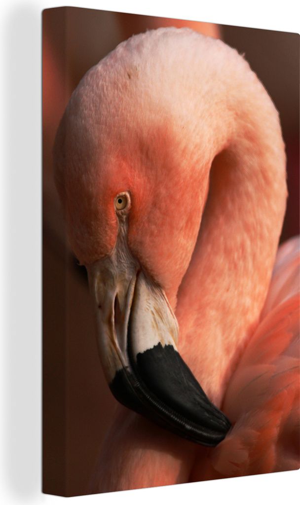 OneMillionCanvasses - Leinwandbilder - 90x140 cm, Nahaufnahme eines chilenischen Flamingos mit rosa Kopf, Wandbilder Kunstdruck Wanddekoration - ...