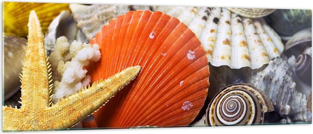 Bilder auf glas - Seashell Meer Strand Sand - 140x50cm - Glasbilder - Wandbilder - Kunstdruck - zum Aufhängen bereit - Wanddekoration aus Glas - G...
