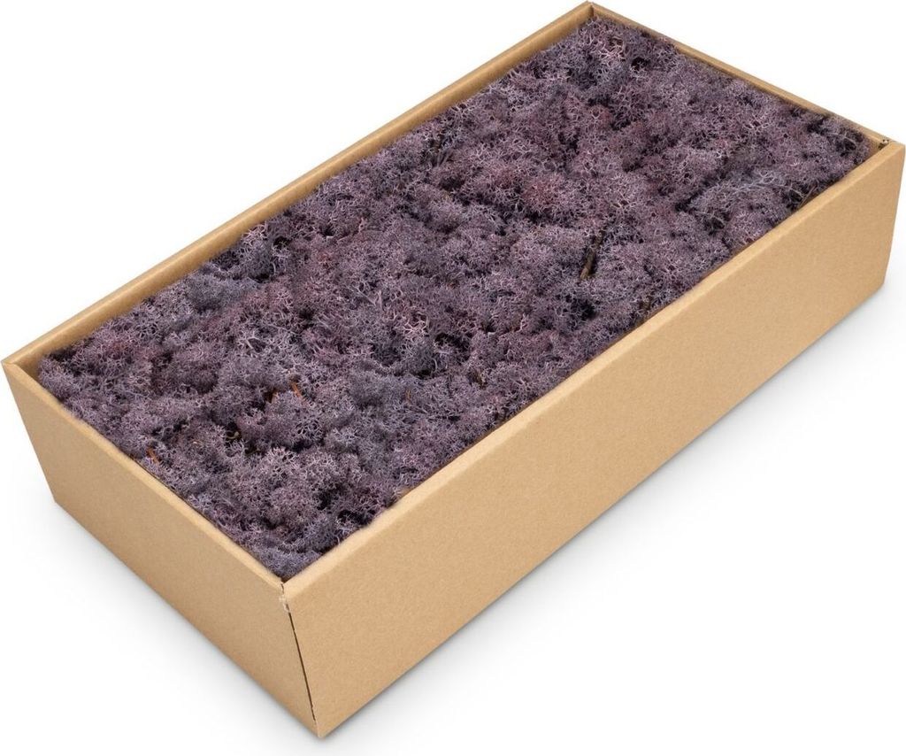Islandmoos 500g in 30 Farben – Konserviertes Rentiermoos Natur, Farbe:Lila