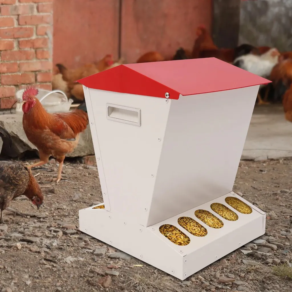 Distributeur automatique de nourriture poules sur pied grande capacité - 5