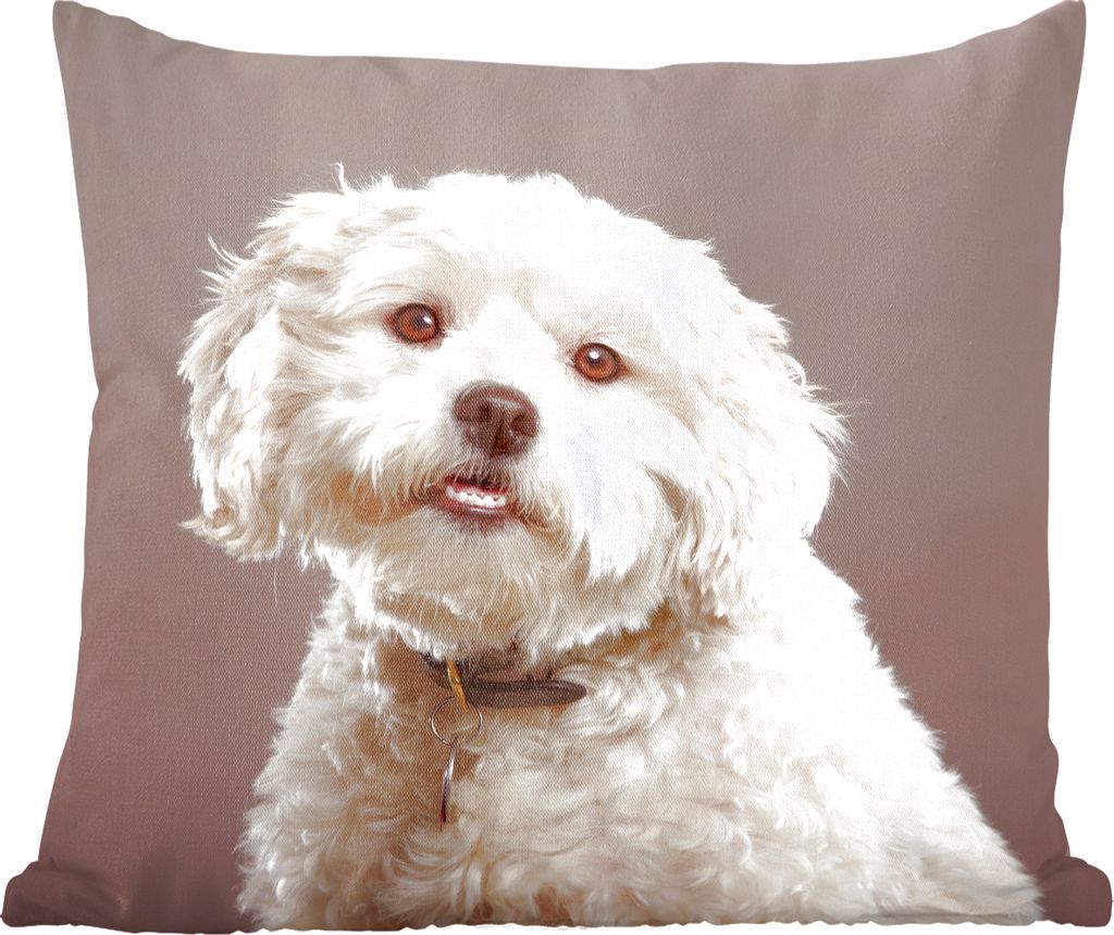MuchoWow Zierkissen Sofakissen Wohnzimmer Dekokissen 40x40 cm Malteser Hund Porträt - Foto Kissen - Schlafzimmer Dekoration