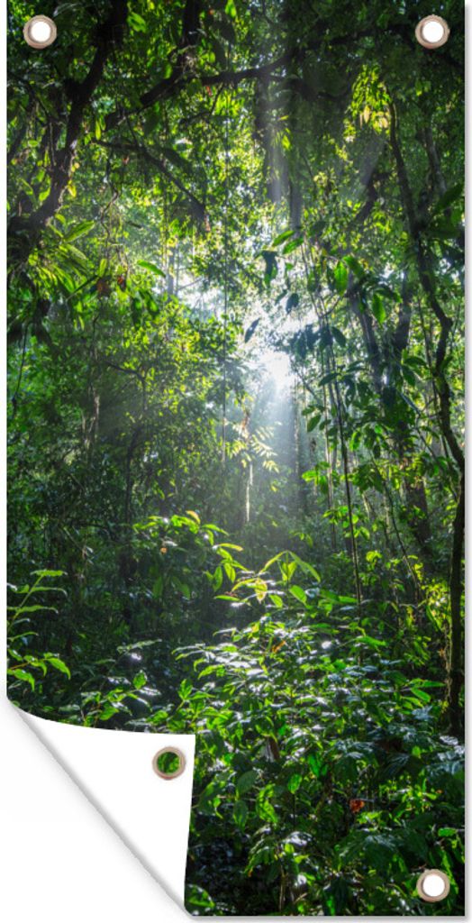 MuchoWow 30x60 cm Outdoor-Poster Gartendeko Sichtschutz Garten Poster für den Garten Die Sonne bricht durch die Bäume des Dschungels im Corcov...