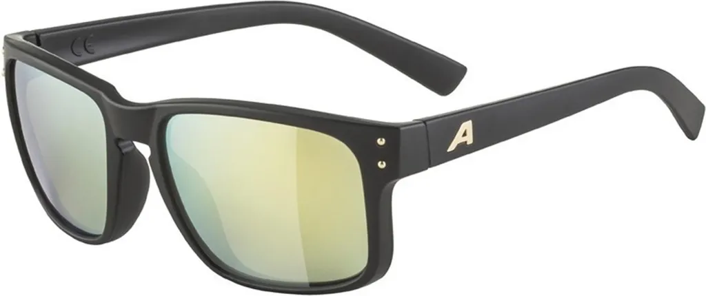ALPINA KOSMIC Lunettes de soleil titane mat design sportif chic