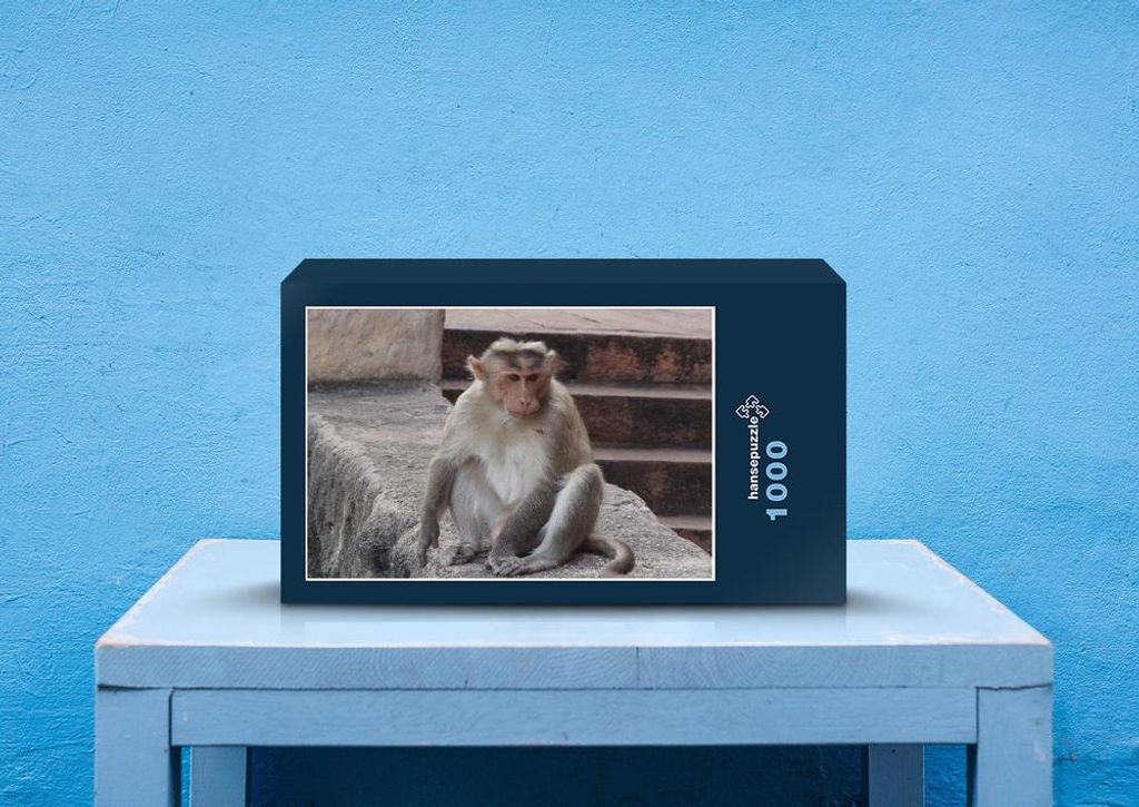 hansepuzzle 75388 - Affe Puzzle, 1000 Teile, Tierwelt, 60,0 x 46,0cm mit hochwertiger Aufbewahrung, Kartonbox und wiederverschließbarem Beutel