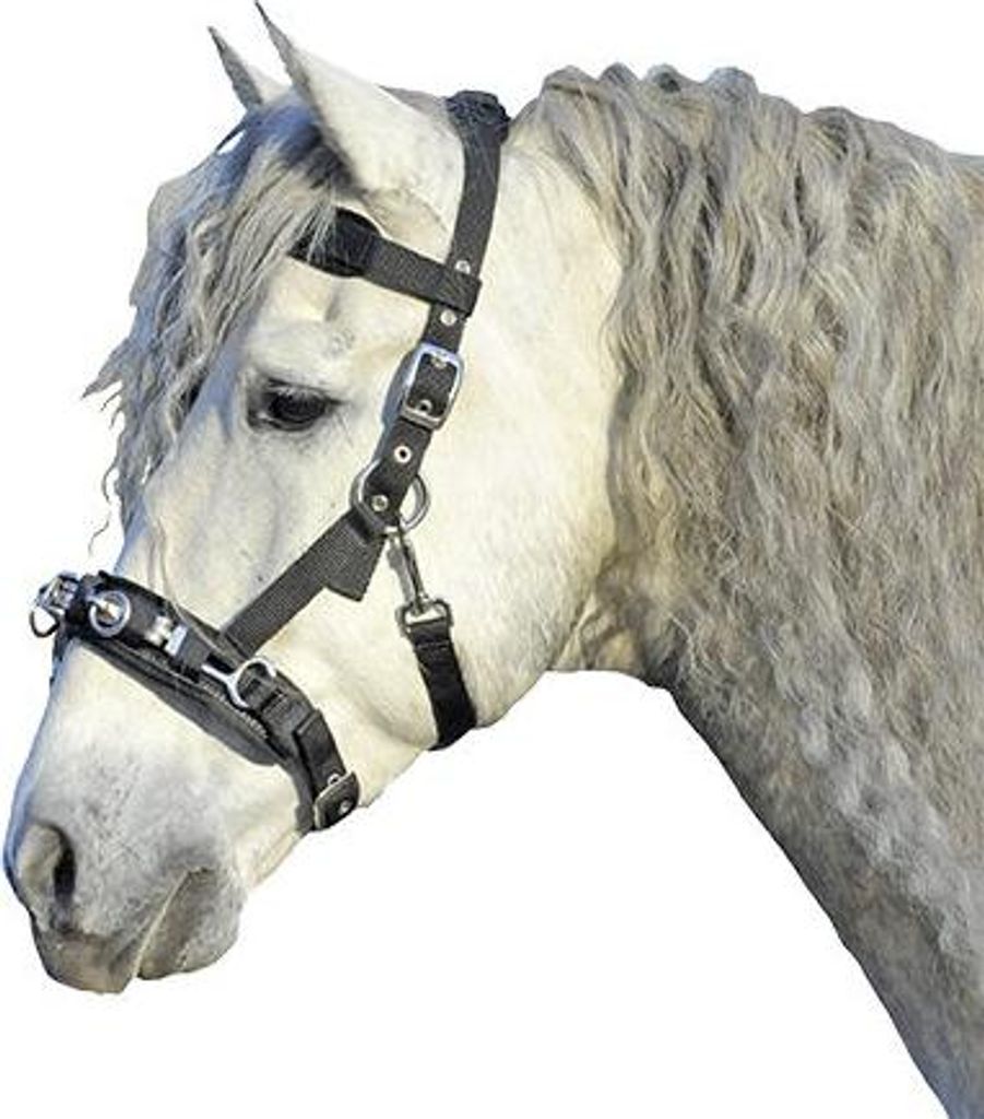 HKM Kappzaum aus Nylon, Farbe:schwarz, Größe:Warmblut