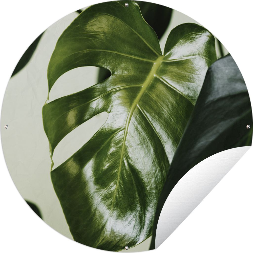 MuchoWow Gartenposter Outdoor-Poster Rund Foto von dunkelgrünen botanischen Blättern Ø 120 cm Gartendeko Rundes Poster draußen