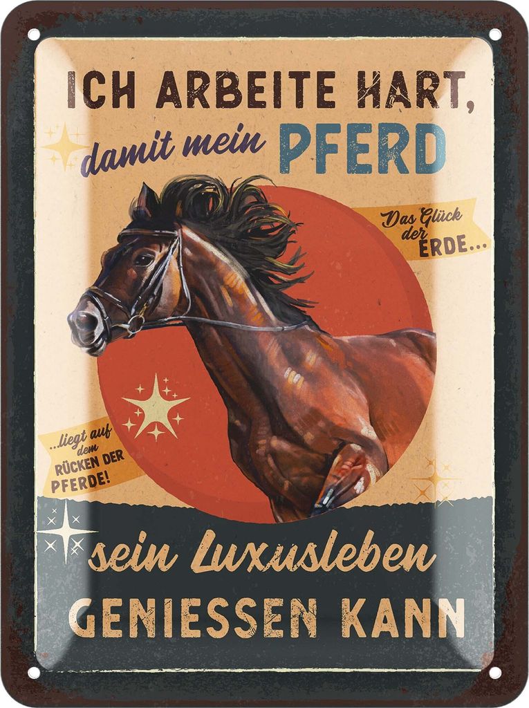Retro Blechschild Pferde Schild, Geschenke für Pferdeliebhaber und Reiter, Boxenschilder mit Spruch, Poster Pferde Deko, Bauernhof Deko