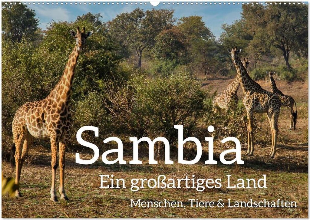 Sambia - ein großartiges Land (Wandkalender 2026 DIN A2 quer), CALVENDO Monatskalender
