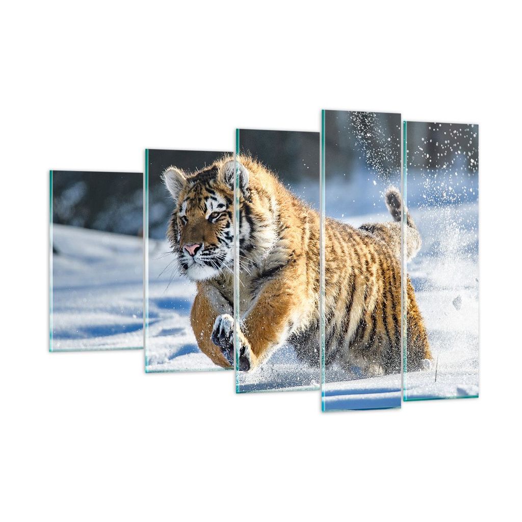 Bilder auf glas - tiger tier - 150x100cm - Glasbilder - Wandbilder - Bilder - Kunstdruck - zum Aufhängen bereit - Wanddekoration aus Glas - Glas B...