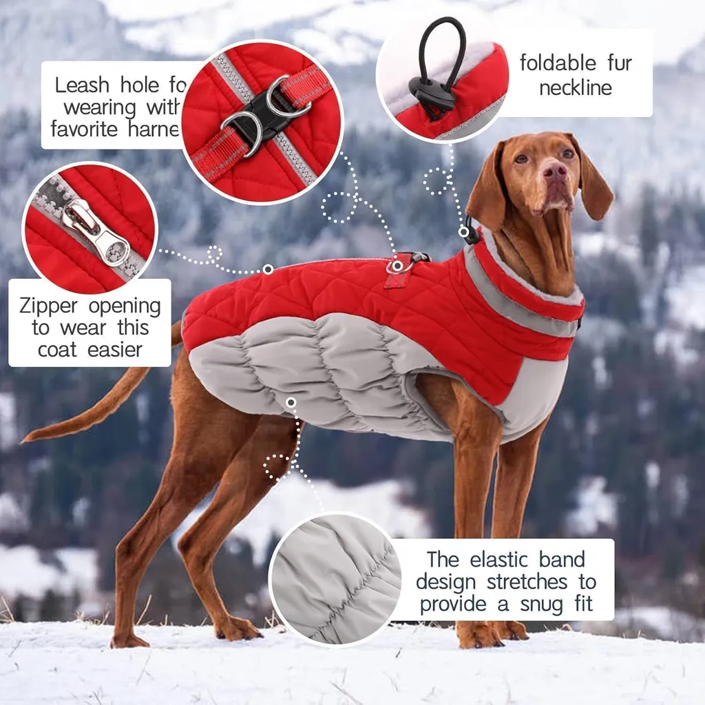 Offerta Cappotto Cane Impermeabile Rosso - Lavabile e Resistente - 3