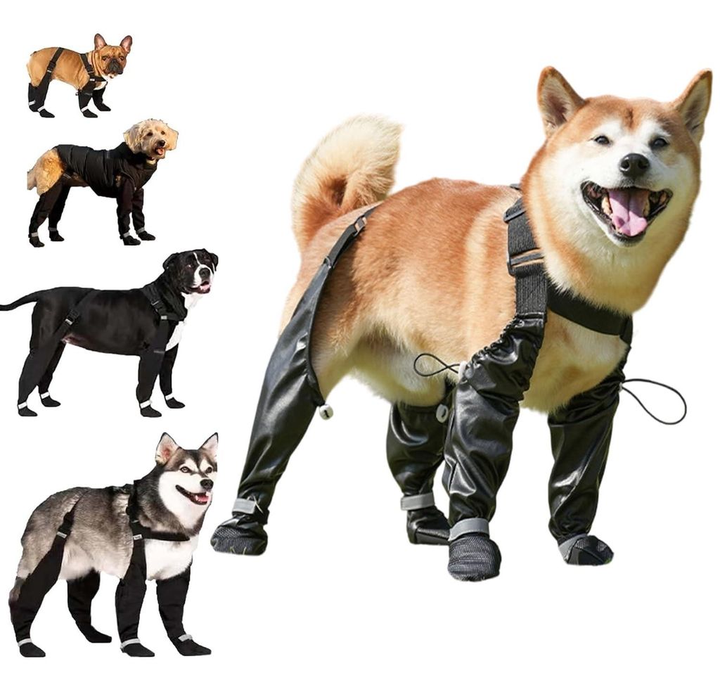 Hundeschuhe Wasserdicht & Anti Rutsch Pfotenschutz Hunde Schuhe Outdoor Hundeschuhe Winter für Alle Größen Spaziergänge Wandern Reisen (M)