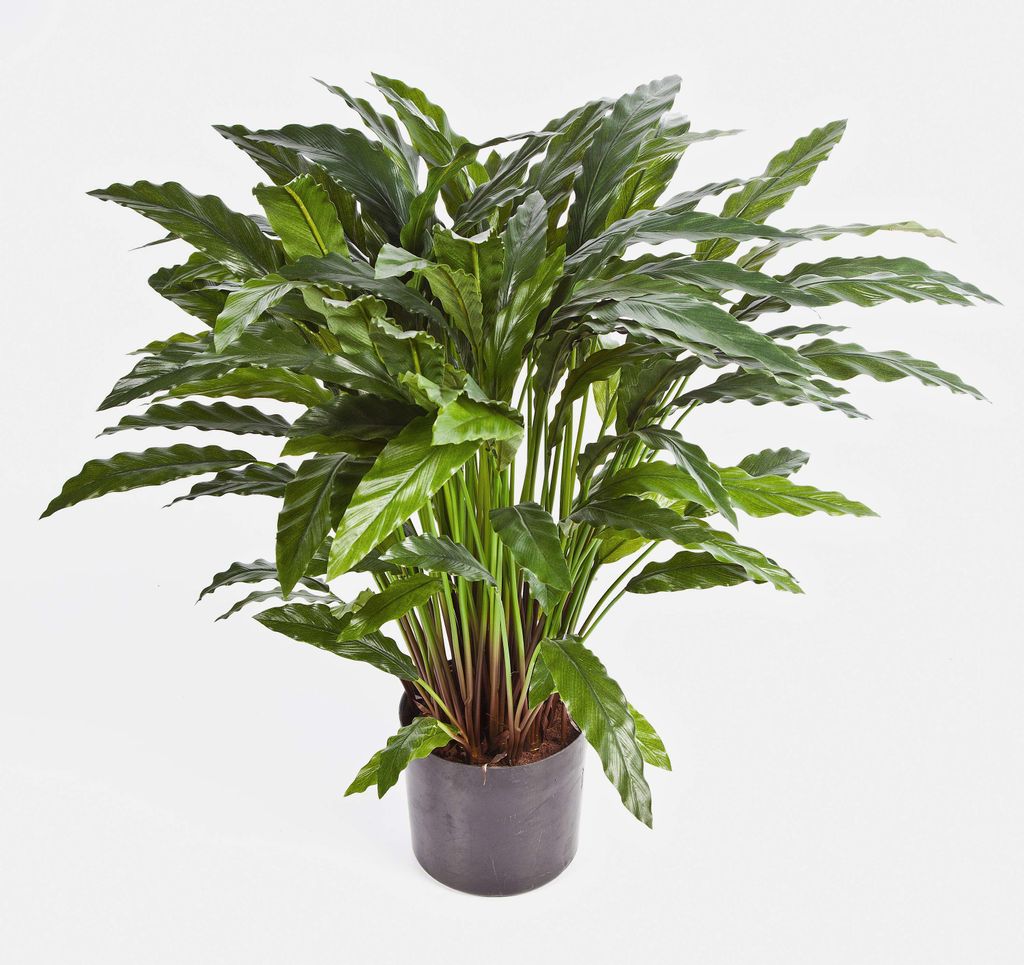 artplants.de Kunstpflanze Calathea BAHATI, 125 Blätter, grün, 85cm - Künstliche Calathea - Deko Pflanzen