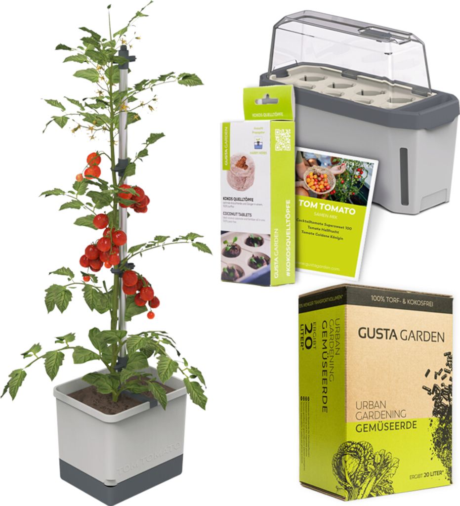 Gusta Garden Tomaten-Starter-Set 5-teilig, hellgrau