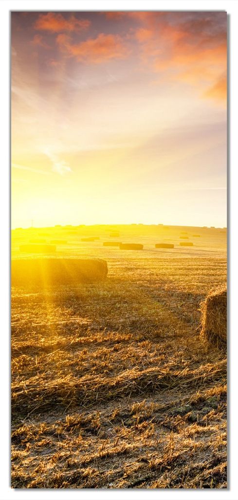 Wallario selbstklebende Türtapete 93 x 205 cm mit Schutzlaminat - Stroh auf dem Feld bei untergehender Sonne
