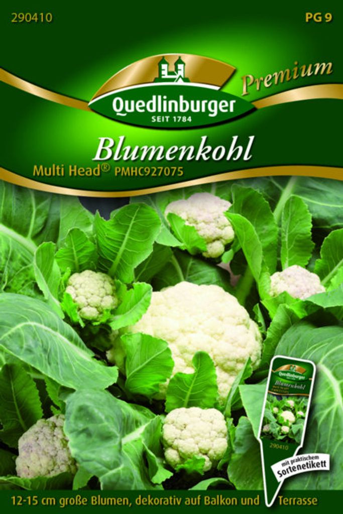 Blumenkohl 'Multi' Quedlinburger Gemüsesamen Produktbild 